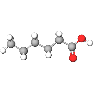 3D model image of Hexanoic Acid