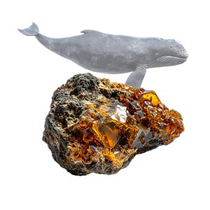 Ambergris as a Perfume Note Ingredient