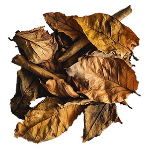 Tobacco as a Perfume Note Ingredient