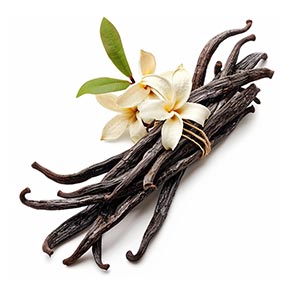 Vanilla as a Perfume Note Ingredient