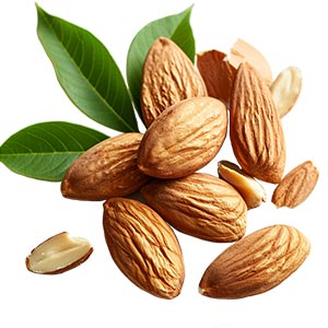 Almond as a Perfume Note Ingredient