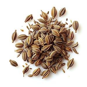 Photo Anise :: fragrance ingredients