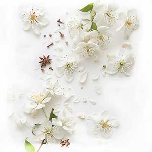 Belanis Fragrance Ingredient