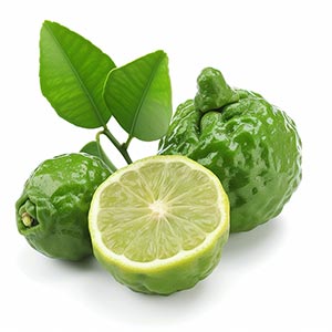 Bergamot Fragrance Note