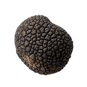 Black Truffle Fragrance Ingredient