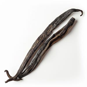 Black Vanilla Husk Fragrance Ingredient