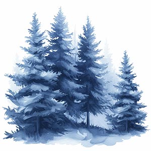 Blue Cedarwood Fragrance Ingredient