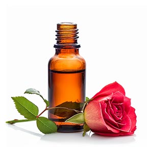 Bulgarian Rose Absolute Fragrance Ingredient