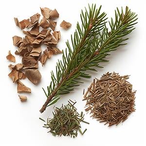 Fir as a Perfume Note Ingredient