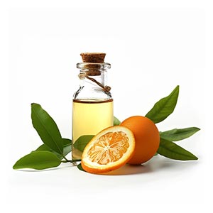 Photo Petitgrain :: fragrance ingredients