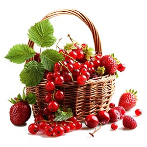 Red Berries as a Perfume Note Ingredient