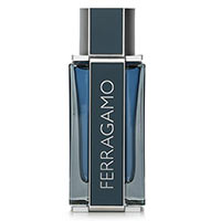 Intense Leather by Salvatore Ferragamo for Men